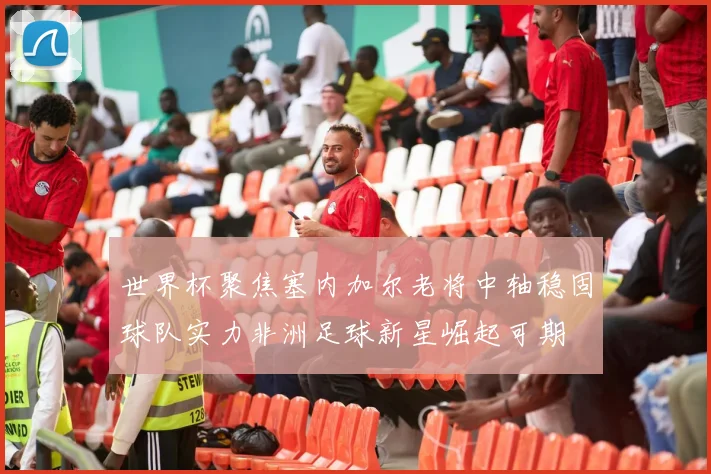 世界杯聚焦塞内加尔老将中轴稳固球队实力非洲足球新星崛起可期