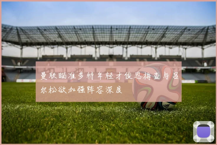 曼联瞄准多特年轻才俊恩梅查与吕尔松欲加强阵容深度
